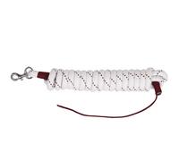 Longe guide pour cheval QHP 4,20 m Blanc 14 mm