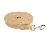 Longe pour cheval de 3 m - Laisse de dressage pour chien de grande taille - Sangle rembourrée de 25 mm - Avec mousqueton robuste - Beige