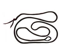 Longe pour cheval éthologique Norton Marron 3,7 m