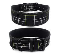 Longe pour Chien Collier réglable pour Animal de Compagnie avec Boucle pour Petits, Moyens et Grands Chiens Pitbull Leash Dog Chain Laisse pour Chien(Black,S)