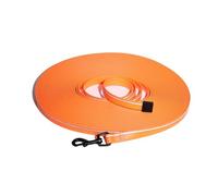 Longe pour Chien en PVC Imperméable, Fluorescente et Réfléchissante, Résistante aux Taches, sans Poignée, 5M 10M 15M, Orange (Orange, 5M)