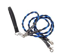 Longe pour Chien, Laisse de Dressage pour Chiens, Laisse Double élastique, Laisse pour Chien avec Mousqueton Verrouillable, Outil de Dressage pour Chiens de Petite, Moyenne et Grande Taille