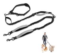 Longe pour Chien, Laisse Main Libre Chien,Laisse Lasso pour Chien avec Cordon Elastique, Laisse 3 Points pour Chien, Laisse de Dressage pour Chien pour Petits, Moyens et Grands Chiens (Noir+Gris)
