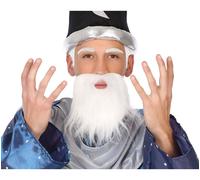 Longue Barbe Blanche Du Sorcier Multicolore