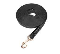Longue laisse de remorquage pour chien - Sangle de dressage - Durable et solide - Antidérapante - Noir - 200 x 2 cm