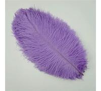 longues plumes blanches, grandes plumes blanches, écharpes en plumes pour les fêtes, plumes d'autruche rose vif, plumes de coq blanches, plumes d'autruche rose vif pour loisirs créatifs, plumes à en