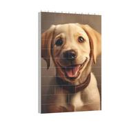 Longzehao Ensemble de blocs de construction avec imprimé chien labrador mignon pour le développement du cerveau