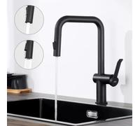 Lonheo Robinet de cuisine douchette extractible orientable à 360°, 2 modes de pulvérisation, acier inoxydable