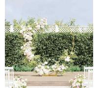 LoogCape Arche de mariage dorée - 195 x 35 x 211 cm - En acier - Pergola - Décoration d'extérieur pour mariages, fêtes de jardin et événements - Construction résistante aux intempéries
