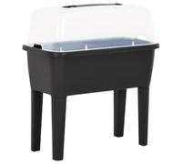 LoogCape Jardinière surélevée - 77 x 38,7 x 82 cm - 100 % polypropylène - 52 l - Avec couvercle transparent - Résistant aux UV et au gel - Pour balcon, terrasse, jardin, intérieur et extérieur