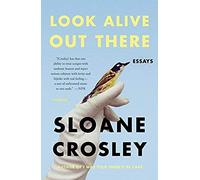 Look Alive Out There