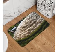 Look at All That Rice Paillasson de bienvenue, antidérapant, absorbant, doux et lavable, tapis de bain 40,6 x 61 cm pour décoration élégante de cuisine, chambre à coucher, salle de bain