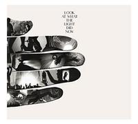 Look at what the light did now - Inclus CD bonus E