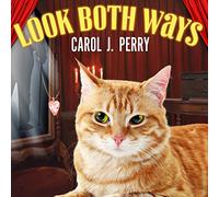 Look Both Ways (The Witch City Mysteries ) (Witch City Mysteries, 3)