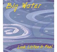 Look Listen & Feel [Import]