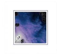 Look Outside Your Window - Cd Album