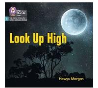 Look Up High by Hawys Morgan Hawys Morgan (Auteur)