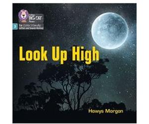 Look Up High by Hawys Morgan Hawys Morgan (Auteur)