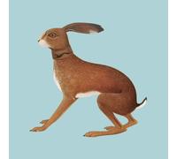 Lookaftering by Vashti Bunyan [CD] NEUF