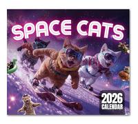 LOOKIN' FRIDAY Space Cats Calendrier 001