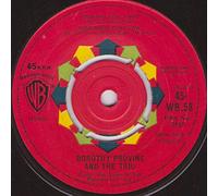 Looking For A Boy / Somebody Loves Me-7" 45