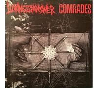 Looking for An Answer - Split