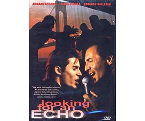 Looking for an Echo [DVD] (2002) Armand Assante, Diane Venora, Joe Grifasi