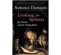 Looking for Spinoza Antonio Damasio (Auteur)