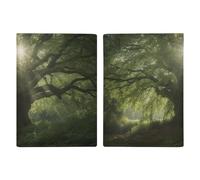 Looking for Trees Passport Card Holder Travel Passport Covers Case PU Passport Book Cover Passport Book Cover Passport Wallet Cover Case Passport Protective Cover Unisex Passport Protector Style,