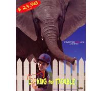 Looking for Trouble [Import USA Zone 1]