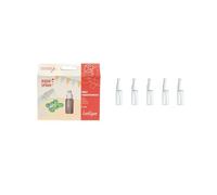 LOOLIPO - MINI VAPORISATEURS - 5 vaporisateurs de 10 ml - 9 x 2 cm - Kits créatifs - Loisir créatif - Activité manuelle - L980003