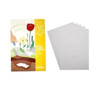 LOOLIPO - PAPIER ENSEMENCÉ FLORAL - A4 - 5 coupons - 21 x 29,7 cm - Matières à travailler - Papiers naturels - Loisir créatif - Activité manuelle - L110011