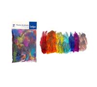 LOOLIPO - PLUMES DE PINTADE - ARC-EN-CIEL - 250 plumes - 10 gr - 4 - 7 cm - Matériels créatifs - Plumes - Loisir créatif - Activité manuelle - L781200