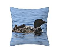 Loon Birds Taie d'oreiller double face en peluche 45,7 x 45,7 cm, coussin lombaire carré, convient pour chaise, voiture, canapé, décoration intérieure
