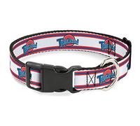 Looney Tunes Collier pour Chien avec Boucle en Plastique, Logo Space Jam Tune Squad rayé, Blanc, Rouge, Bleu, 21,6 à 30,5 cm de Large
