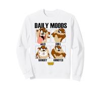 Looney Tunes Taz Daily Moods Sweatshirt