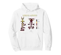 Looney Tunes Wile E. Coyote Retro Color Code Sweat à Capuche