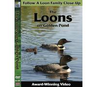 Loons on Golden Pond