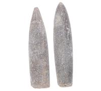 LOORGVEL 2 Pièces Spécimens Bélemnite Naturelle Minéral Kit Fossiles pour Enseignement Paléontologie Décoration Scientifique