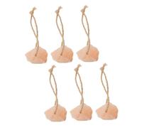 LOORGVEL 6 pièces Bloc de Sel à Lécher Naturel pour Chevaux Cerfs et Bétail Source Alimentaire Essentielle Suspendues Favorise Santé et Immunité des Animaux