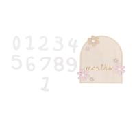 LOORGVEL Carte Mensuelle Bébé Double Face 1 Pièce Panneau Étape Importante Croissance -Né Motif Marguerite Accessoire Photo Shower pour Suivi Mensuel Croissance
