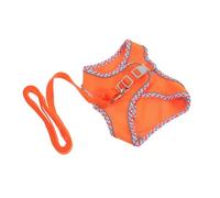 LOORGVEL Harnais pour Chiot avec Laisse de Dressage Corde de Traction Résistant à Usure Rupture Léger et Facile à Transporter