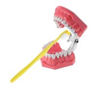 LOORGVEL Modèle Pédagogique Interactif de Brossage des Dents pour Garçon Fille Kit Éducatif et Réaliste Outil Dapprentissage Oral pour Maternelle Modèle et Facile à Nettoyer