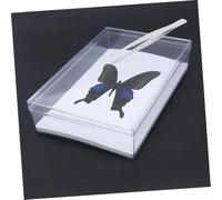 LOORGVEL Pince Épiler Large Acier Inoxydable Pince Biseautée pour Insectes Outil de Collection de Spécimens Protection des pour Petits et Moyens Échantillons