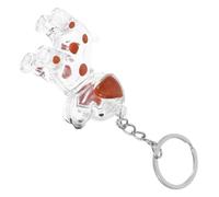 LOORGVEL Porte-clés Boîte Mémoire Poils Chien Transparent Capsule Rangement Souvenir Chien Clés Accessoire Commémoratif et Visible
