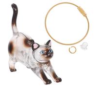 LOORGVEL Porte-Clés Transparent pour Poils de Chat Siamois Boîte Capsule de Rangement Compacte pour Souvenirs de Poils D’Animaux Organisateur Portable pour Moustaches