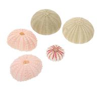 LOORGVEL Pot Contenant Décoratif Plante Aérienne en Coquille D'oursin Naturel pour 5pcs pour Décoration Intérieure et Artisanat pour Plantes d'air de Coquillage
