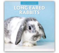 Lop-eared Rabbits 2027 Square Wall Calendar