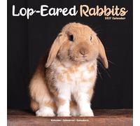 Lop eared Rabbits W