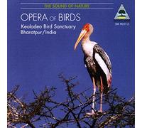 L'Opéra Chant des Oiseaux de la Réserve Keoladeo de Bharatpur en Inde